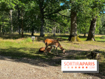 Espace Rambouillet