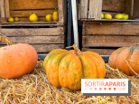 Automne au Potager du Roi - Citrouilles - Halloween - image00012