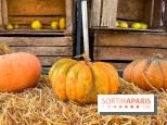 Automne au Potager du Roi - Citrouilles - Halloween