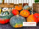 Automne au Potager du Roi - Citrouilles - Halloween