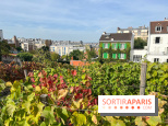 Vignes Montmartre - image00034