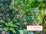 Automne Tropical 2023