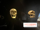 Le musée de l'Homme - collections permanentes