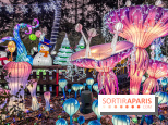 Noël au Parc Astérix 2023, sentier de lumières et patinoire - IMG 4996