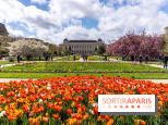 Visuel Paris 5e -  jardin des plantes - museum - printemps - fleurs