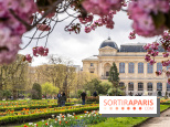 Visuel Paris 5e -  jardin des plantes - museum - printemps - cerisiers