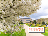 Visuel Paris 5e - jardin des plantes  - printemps - cerisiers