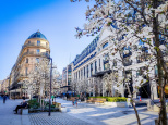 Visuel Paris 4e - printemps arbre fleurs