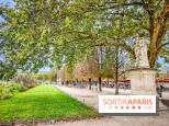 Visuel Paris 1er - jardin des Tuileries automne