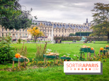 Visuel Paris 1er - jardin des Tuileries automne