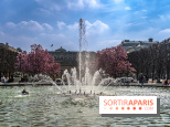 Les magnolias du Jardin du Palais Royal  - printemps - visuel Paris - fontaine - chaleur - beau temps