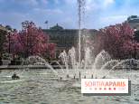 Les magnolias du Jardin du Palais Royal  - printemps - visuel Paris - fontaine - chaleur - beau temps