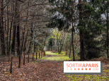 Arbor&Sens, l'Arboretum de Franchard en forêt de Fontainebleau - les photos