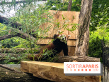 Ménagerie du Jardin des Plantes 2024 - panda