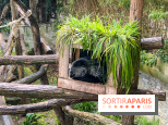 Ménagerie du Jardin des Plantes 2024 - nos photos