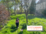 Dourdan - nos photos de la ville