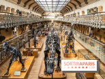 La Galerie de Paléontologie et d'Anatomie comparée du Muséum au Jardin des Plantes