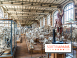 La Galerie de Paléontologie et d'Anatomie comparée du Muséum au Jardin des Plantes