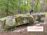 Dolmen de la Pierre Ardoue