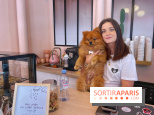 Casa del Doggo