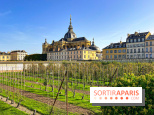 Les Saveurs du Potager du Roi à Versailles : marché de fruits & légumes, expositions et animations