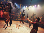 Spectacle Arbre Cirque Bormann