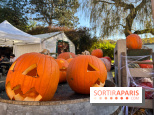 La Fête de la Citrouille - nos photos - image00017
