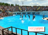 Parc Asterix
Dauphins