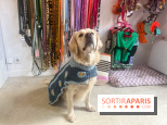 CAYU Canidés Club, la boutique d'accessoires dog friendly - nos photos