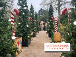 Noël au Jardin d'Acclimatation 2024