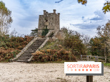 Randonnée à Fontainebleau : le sentier sur les pas de Denecourt jusqu’à la Tour Denecourt