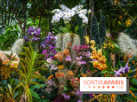Mille et une orchidées 2025 - les photos