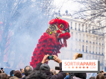 Défilé du Nouvel an Lunaire - Chinois 2025 Paris 13e - les photos
