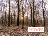 Balade sentier : Conte de Mélida, l'esprit de la forêt en forêt de Méridon (78)