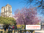 Le Square Viviani devant Notre-Dame de Paris