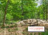 La Forêt des Loups