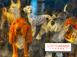 Collection dédié aux chiens
