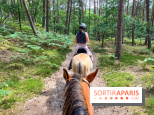 Balade en chevaux Henson en forêt de Fontainebleau