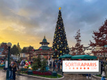 Noël à Disneyland Paris : Disney's Enchanted Christmas - sapin