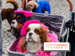 La Marche des animaux à Paris : défilé gratuit, ouvert aux chiens, chats ... sur les Champs-Élysées