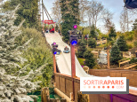 Noël au Parc Astérix 2025, patinoire et marché de Noël  - IMG 7498