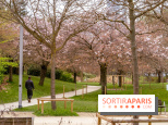 Les cerisiers du parc Martin Luther King - Clichy - Batignoles
