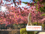 Les pommiers et cerisiers en fleurs du Jardin de Reuilly, Parc de Reuilly à Paris 12e - photos  - visuel