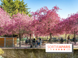 Les pommiers et cerisiers en fleurs du Jardin de Reuilly, Parc de Reuilly à Paris 12e - photos  - table pique nique 