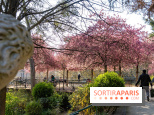 Les pommiers et cerisiers en fleurs du Jardin de Reuilly, Parc de Reuilly à Paris 12e - photos  - A7C09294