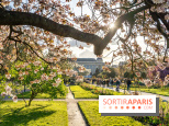 Les floraisons exceptionnelles du Jardin des Plantes 2026 : tulipes, coquelicots et cerisiers - photos - A7C00582