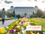 Les floraisons exceptionnelles du Jardin des Plantes 2026 : tulipes, coquelicots et cerisiers - photos - A7C00630