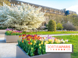 Les floraisons exceptionnelles du Jardin des Plantes 2026 : tulipes, coquelicots et cerisiers - photos