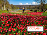 Les tulipes du Château de Dampierre, son jardin anglais et le jardin Le Nôtre