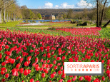 Les tulipes du Château de Dampierre, son jardin anglais et le jardin Le Nôtre